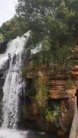 你能逃离此地吗